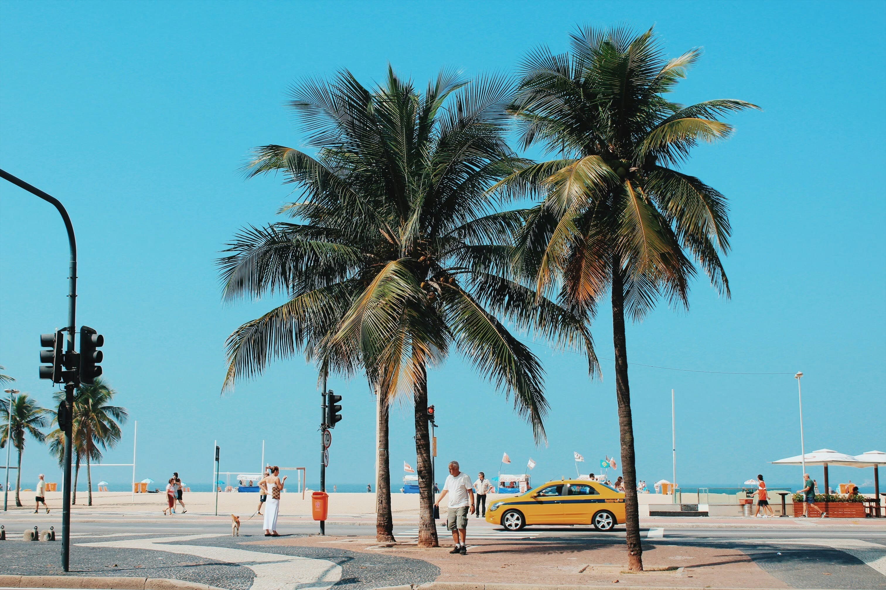 Yellow taxi on a tropical beachfront street with palm trees