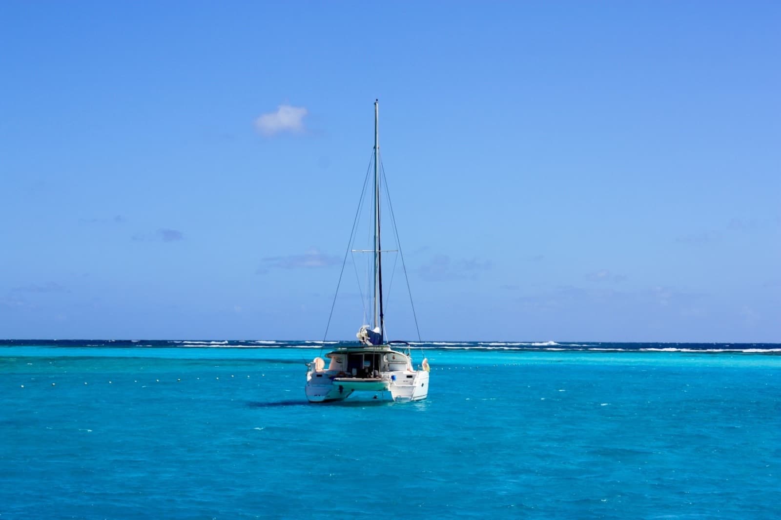 Boat Trips