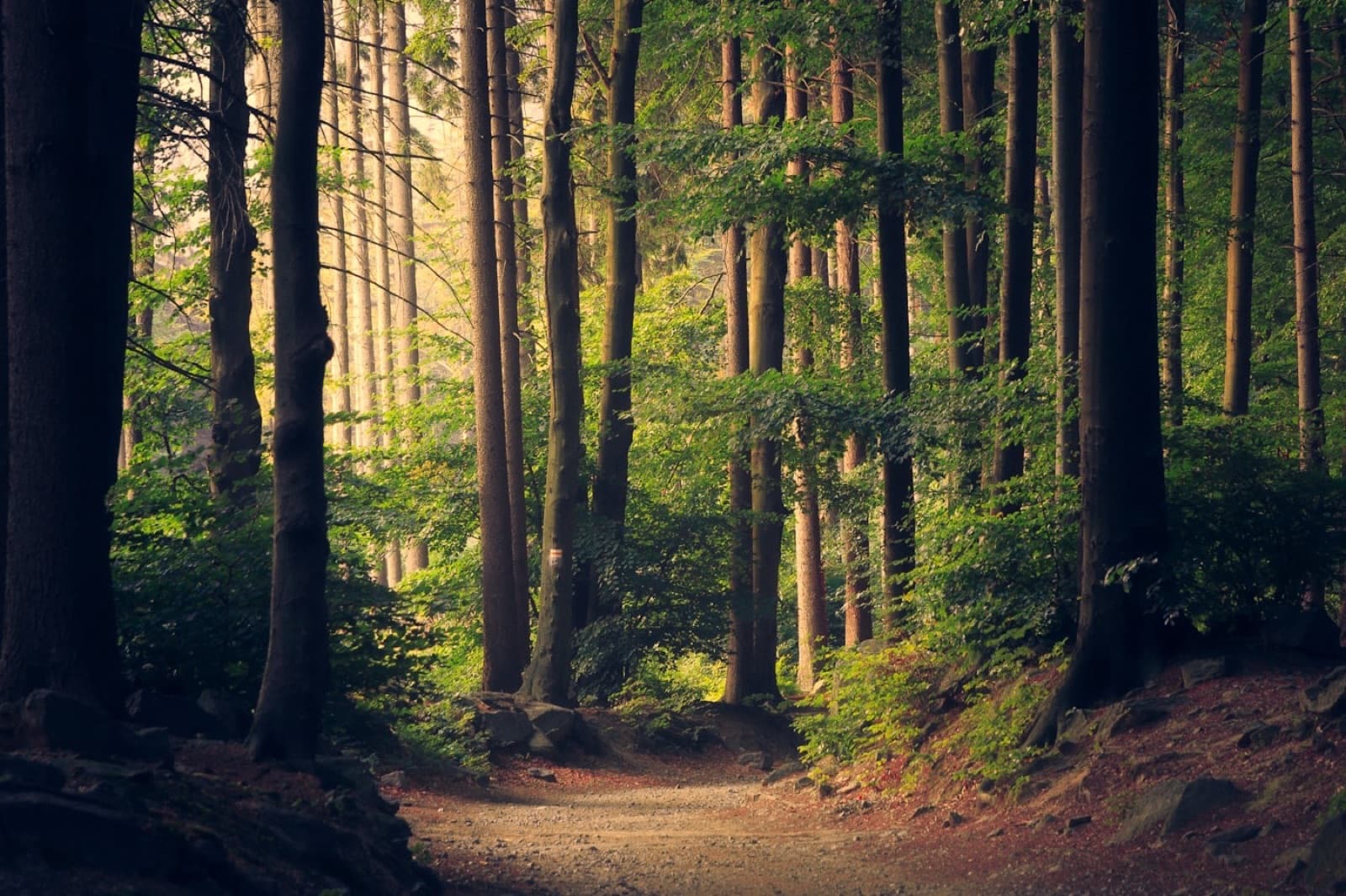 Nature & Hiking Tours