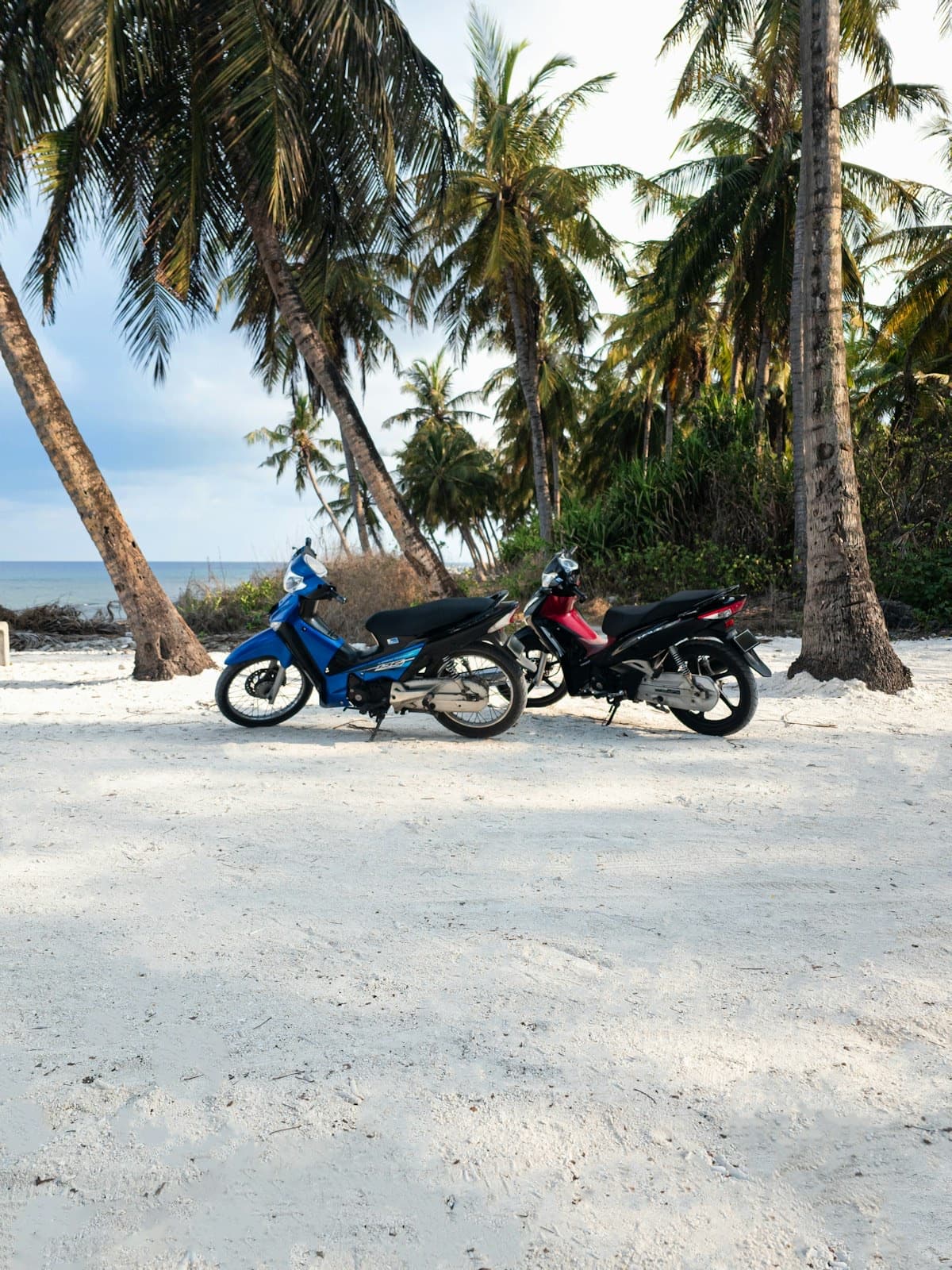 Scooter Rental – Daily